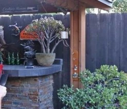 New Ring En Hook Spel - Ultieme Mancave Topper Compleet En Luxe -Vloerspellen Verkoop 550x269 2