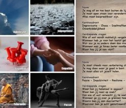 Henk Haaijema De Verdieping. Box Met 60 Coachkaarten Voor Coaching En Supervisie. Kaartspel Met Inhoud En Diepte! -Vloerspellen Verkoop 550x363 2