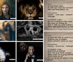 Henk Haaijema De Verdieping. Box Met 60 Coachkaarten Voor Coaching En Supervisie. Kaartspel Met Inhoud En Diepte! -Vloerspellen Verkoop 550x363 3