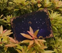 The Cards Of Confound - Mysterieuze Puzzelkaarten (English) 23 The Cards Of Confound - Mysterieuze Puzzelkaarten (English) -Vloerspellen Verkoop 550x366 138