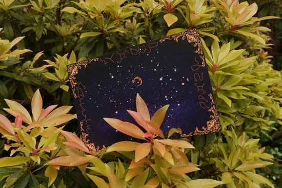 The Cards Of Confound - Mysterieuze Puzzelkaarten (English) 3 The Cards Of Confound - Mysterieuze Puzzelkaarten (English) - Afbeelding 3