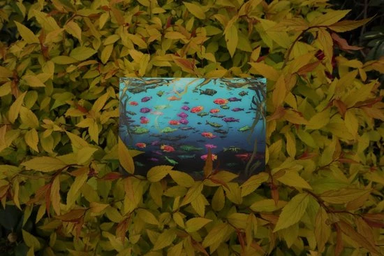 The Cards Of Confound - Mysterieuze Puzzelkaarten (English) 4 The Cards Of Confound - Mysterieuze Puzzelkaarten (English) - Afbeelding 4