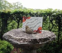 The Cards Of Confound - Mysterieuze Puzzelkaarten (English) 25 The Cards Of Confound - Mysterieuze Puzzelkaarten (English) -Vloerspellen Verkoop 550x366 140