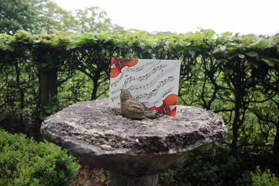 The Cards Of Confound - Mysterieuze Puzzelkaarten (English) 5 The Cards Of Confound - Mysterieuze Puzzelkaarten (English) - Afbeelding 5