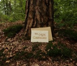 The Cards Of Confound - Mysterieuze Puzzelkaarten (English) 26 The Cards Of Confound - Mysterieuze Puzzelkaarten (English) -Vloerspellen Verkoop 550x366 141