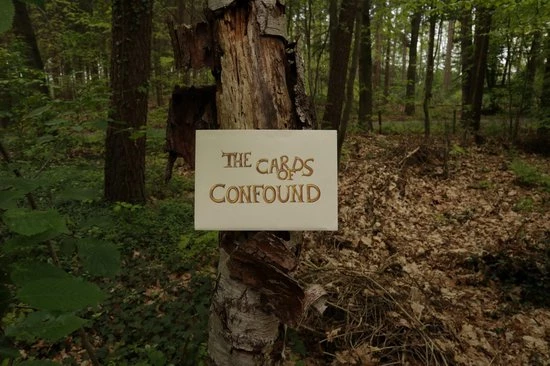 The Cards Of Confound - Mysterieuze Puzzelkaarten (English) 7 The Cards Of Confound - Mysterieuze Puzzelkaarten (English) - Afbeelding 7