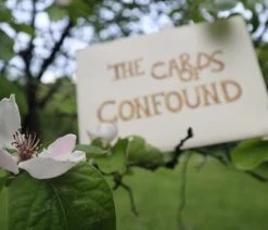 The Cards Of Confound - Mysterieuze Puzzelkaarten (English) 30 The Cards Of Confound - Mysterieuze Puzzelkaarten (English) -Vloerspellen Verkoop 550x366 145