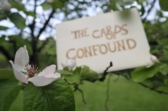 The Cards Of Confound - Mysterieuze Puzzelkaarten (English) 10 The Cards Of Confound - Mysterieuze Puzzelkaarten (English) - Afbeelding 10