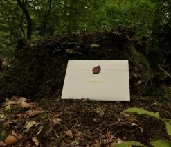 The Cards Of Confound - Mysterieuze Puzzelkaarten (English) 31 The Cards Of Confound - Mysterieuze Puzzelkaarten (English) -Vloerspellen Verkoop 550x366 146