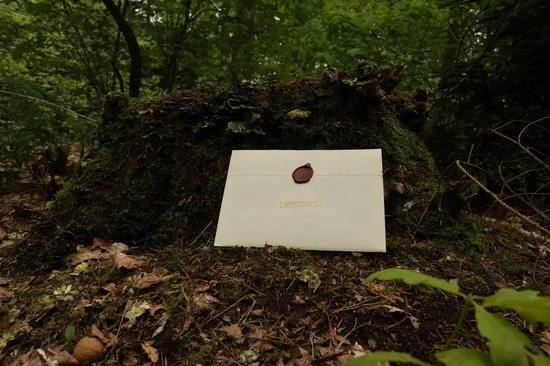 The Cards Of Confound - Mysterieuze Puzzelkaarten (English) 11 The Cards Of Confound - Mysterieuze Puzzelkaarten (English) - Afbeelding 11