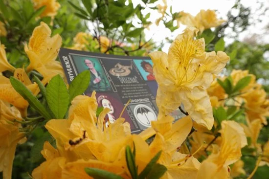 The Cards Of Confound - Mysterieuze Puzzelkaarten (English) 12 The Cards Of Confound - Mysterieuze Puzzelkaarten (English) - Afbeelding 12