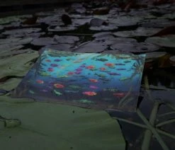 The Cards Of Confound - Mysterieuze Puzzelkaarten (English) 33 The Cards Of Confound - Mysterieuze Puzzelkaarten (English) -Vloerspellen Verkoop 550x366 148