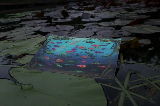 The Cards Of Confound - Mysterieuze Puzzelkaarten (English) 13 The Cards Of Confound - Mysterieuze Puzzelkaarten (English) - Afbeelding 13