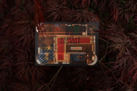 The Cards Of Confound - Mysterieuze Puzzelkaarten (English) 15 The Cards Of Confound - Mysterieuze Puzzelkaarten (English) - Afbeelding 15