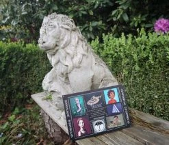 The Cards Of Confound - Mysterieuze Puzzelkaarten (English) 36 The Cards Of Confound - Mysterieuze Puzzelkaarten (English) -Vloerspellen Verkoop 550x366 151