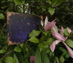 The Cards Of Confound - Mysterieuze Puzzelkaarten (English) 37 The Cards Of Confound - Mysterieuze Puzzelkaarten (English) -Vloerspellen Verkoop 550x366 152