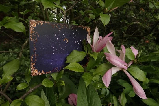 The Cards Of Confound - Mysterieuze Puzzelkaarten (English) 17 The Cards Of Confound - Mysterieuze Puzzelkaarten (English) - Afbeelding 17