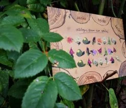 The Cards Of Confound - Mysterieuze Puzzelkaarten (English) 39 The Cards Of Confound - Mysterieuze Puzzelkaarten (English) -Vloerspellen Verkoop 550x412 34