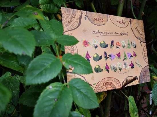 The Cards Of Confound - Mysterieuze Puzzelkaarten (English) 19 The Cards Of Confound - Mysterieuze Puzzelkaarten (English) - Afbeelding 19