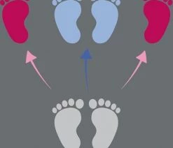 Eduplay Set Van 6 Bewegingsmatten