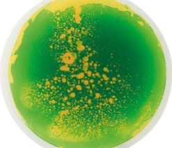 Eduplay Sensory Vloertegels Rond