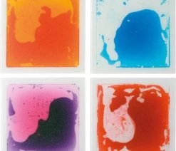 Eduplay Set Van 4 Kleine Fascinatie Matten 5 Eduplay Set Van 4 Kleine Fascinatie Matten -Vloerspellen Verkoop 550x548