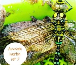 Liefsoppapier.nl Associatiekaarten Set 3 - Coachtools - Coachkaarten - Werkvormen - Liefsoppapier -Vloerspellen Verkoop 550x550 136