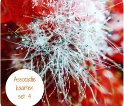 Liefsoppapier.nl Associatiekaarten Set 4 - Coachtools - Coachkaarten - Werkvormen - Liefsoppapier -Vloerspellen Verkoop 550x550 148