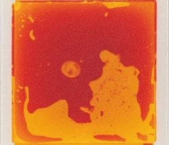 Eduplay Set Van 4 Kleine Fascinatie Matten