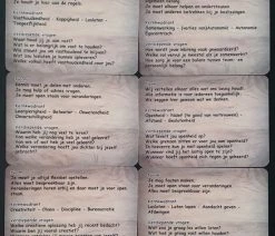 Henk Haaijema De Verdieping. Box Met 40 Coachkaarten. Kaarten Met Inhoud Voor Individuele Coaching En Supervisie. -Vloerspellen Verkoop 550x585