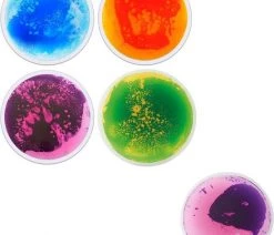 Eduplay Sensory Vloertegels Rond 6 Eduplay Sensory Vloertegels Rond -Vloerspellen Verkoop 550x590 1