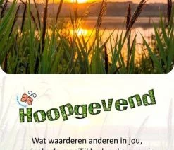 Merkloos Gesprekskaarten 'Deal With It!' -Vloerspellen Verkoop 550x781 1